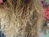 Curlspiration Hair Salon