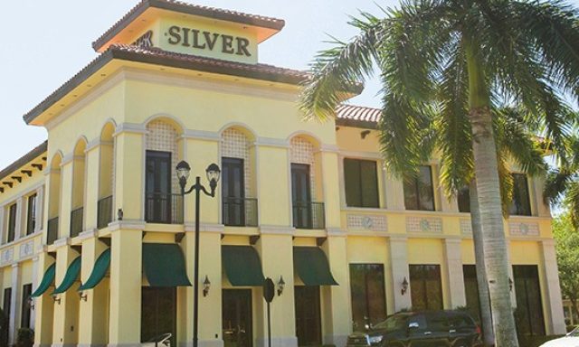 Silver Companies