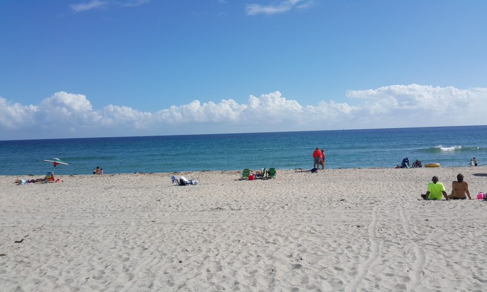 Weekend Dog Beach