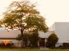 Beth Ami Congregation