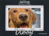 ESAD Intl. (ESADoggy)