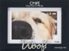 ESAD Intl. (ESADoggy)
