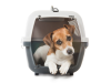 Evanbaum Courier & Errand Services