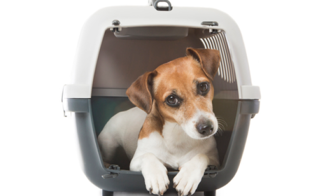 Evanbaum Courier & Errand Services
