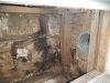 Mold Inspect Tech
