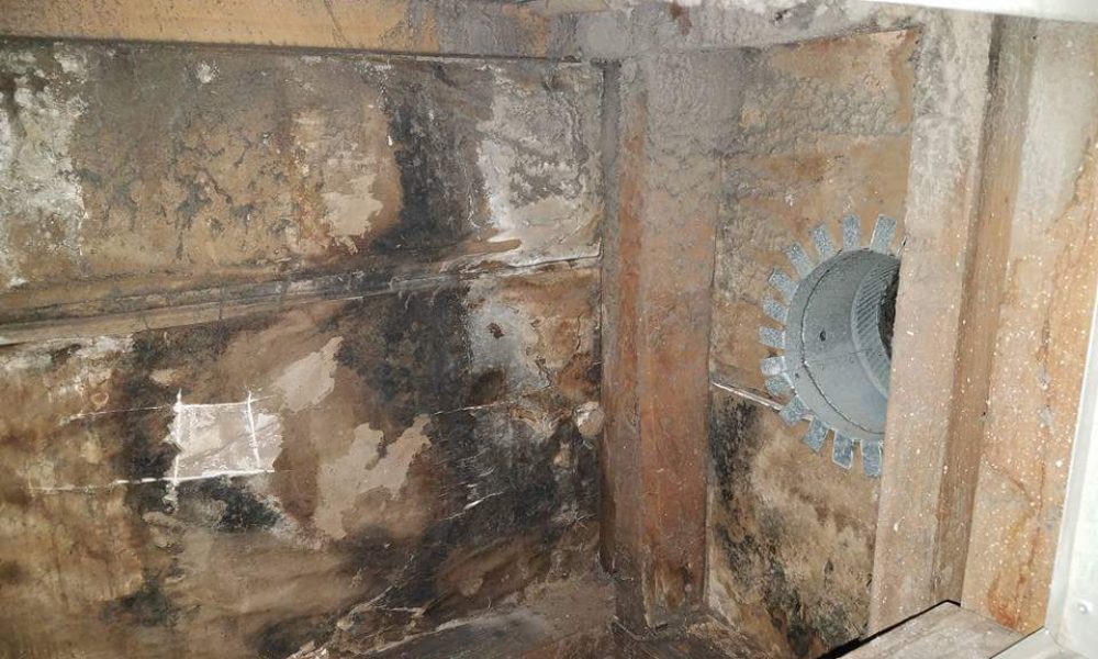 Mold Inspect Tech