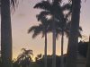 Montego Bay Boca Raton