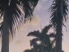 Montego Bay Boca Raton