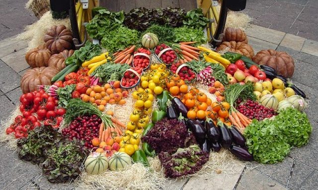My Organic Food Club – Boca Raton Produce