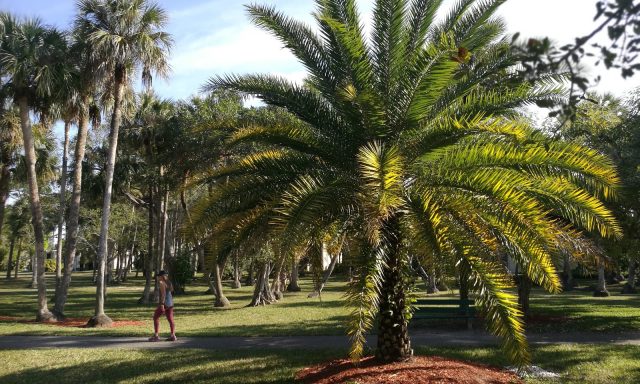 Via Mizner Golf & Country Club