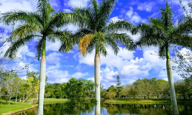 Via Mizner Golf & Country Club