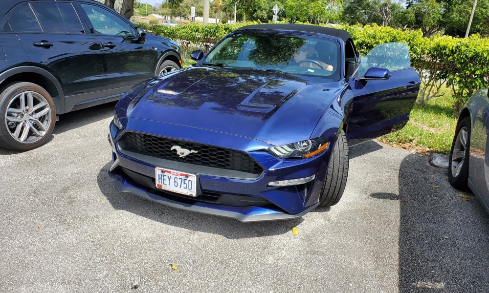 Alamo Rent A Car