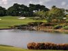 Ann Koplas, PA, Florida Real Estate Broker