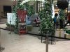Chick-fil-A Town Center at Boca Raton