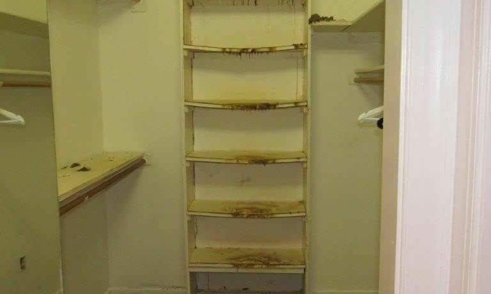Mold Inspect Tech