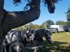 Pioneer Park Recreation Sprvsr