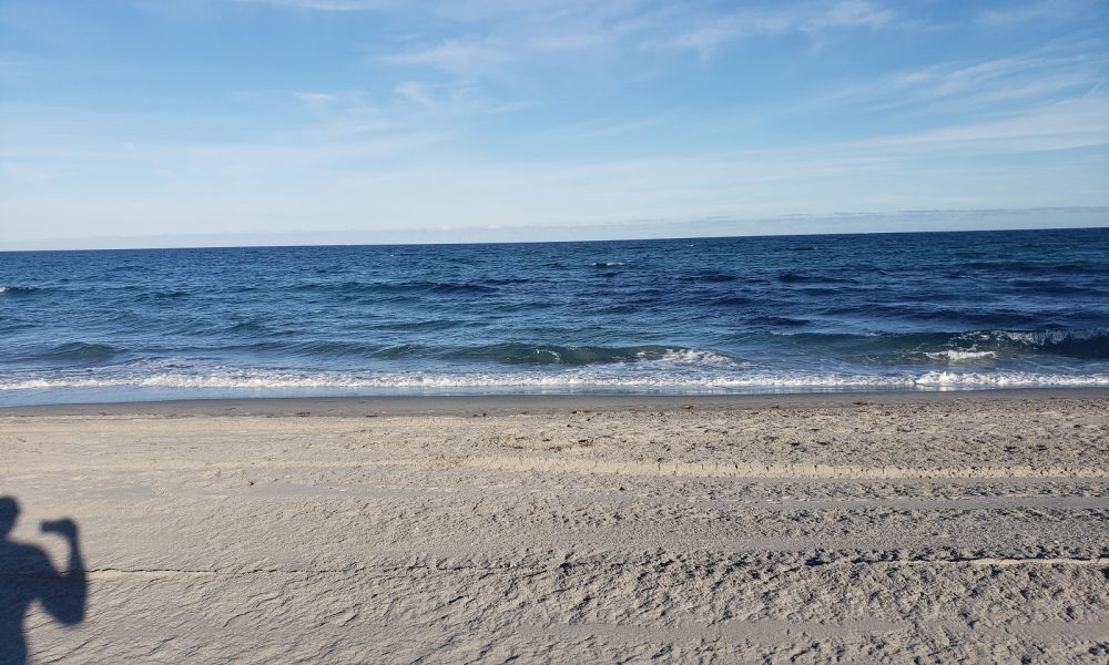 Red Reef Park