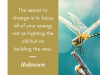 Rise Coaching