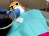 South Florida Dentistry for Children, P.A.