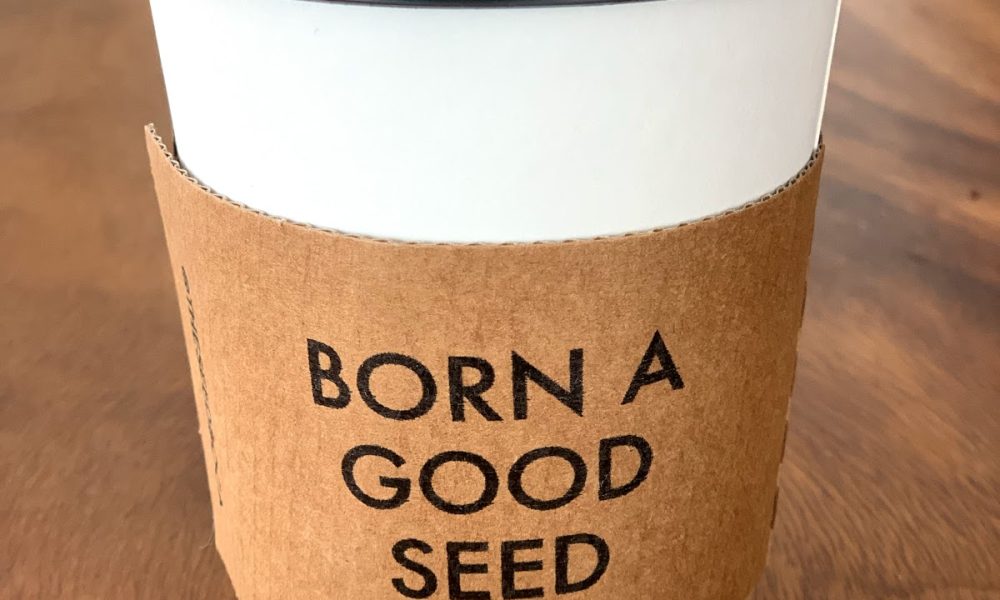 The Seed