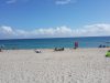 Weekend Dog Beach