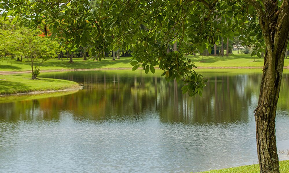 ARIUM Boca Raton