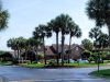 Boca Arbor