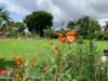 Boca Raton Community Garden
