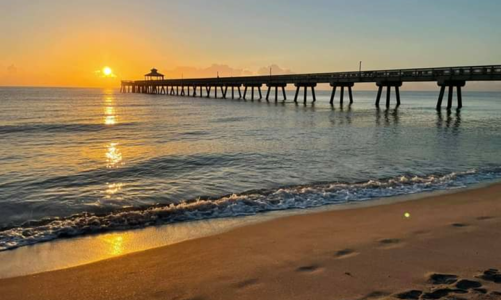 Boca's Best CBD