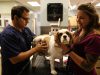 Calusa Veterinary Center