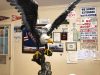 E Boca Auto Repair Inc
