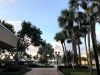 FAU College of Business