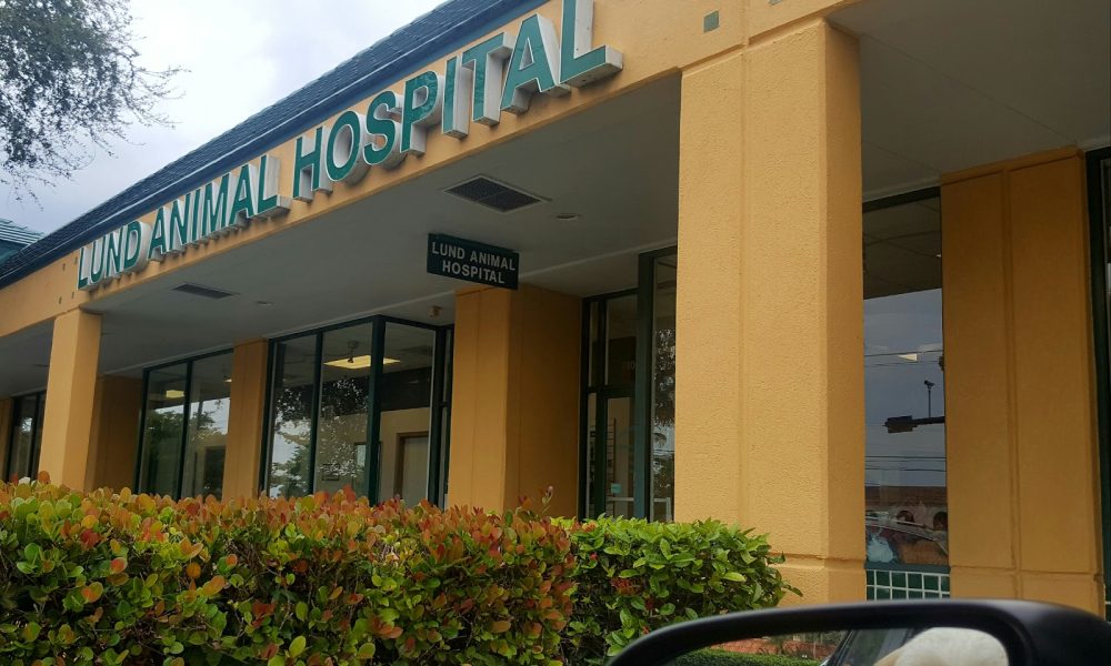 Lund Animal Hospital