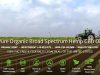 MD Organics LLC