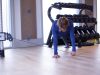 Meso Fit Boca