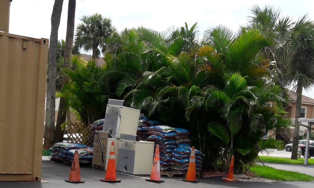 Palms of Boca Del Mar