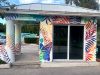 Red Reef Park Mural Project