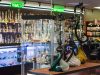 Vapes and More